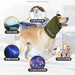 Accessoires chien de chasse
