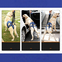 Avis INF Harnais de Soutien Arrière pour Chien - Aide à la Mobilité pour Chiens Blessés et Âgés L