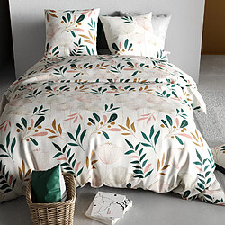 Avis Atelier du coton Parure Housse De Couette 3pcs 100% Coton 57fils -kano