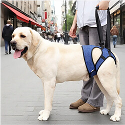 Acheter INF Harnais de Soutien Arrière pour Chien - Aide à la Mobilité pour Chiens Blessés et Âgés L