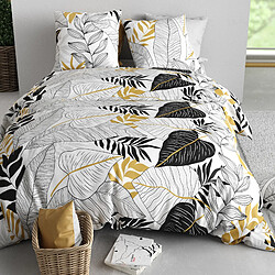 Avis Atelier du coton Parure housse de couette 100% coton 57fils moana