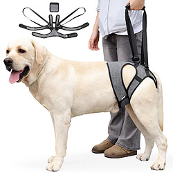 Equipement de transport pour chien INF