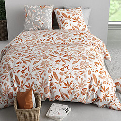 Avis Atelier du coton Parure housse de couette 100% coton 57fils kaylie