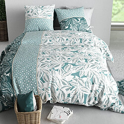 Avis Atelier du coton Parure Housse De Couette 100% Coton 57fils Foliage