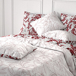 Acheter Atelier du coton Parure housse de couette 100% coton 71 fils bonheur reversible