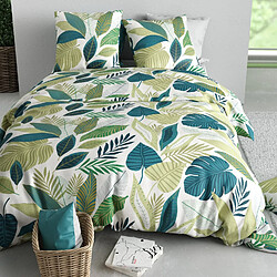 Avis Atelier du coton Parure Housse De Couette 100% Coton 57fils Tropicalia