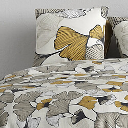 Avis Atelier du coton Parure housse de couette 100% coton 57fils arom