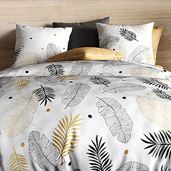 Avis Atelier du coton Parure housse de couette 100% coton 57fils envole