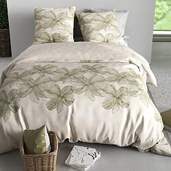 Avis Atelier du coton Parure housse de couette imprimée 100% coton 57fils MILA