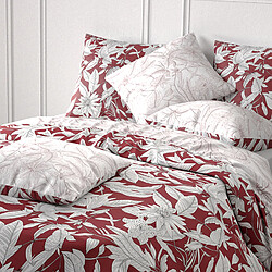 Avis Atelier du coton Parure housse de couette 100% coton 71 fils bonheur reversible