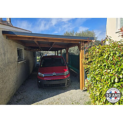 Cpbf 56.25m² 4.5x12.5m Carport adossé en bois - sapin - marron - pour 2 voitures et plus