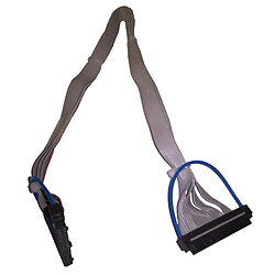 Câble antenne Lenovo