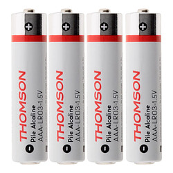 Piles rechargeables Thomson