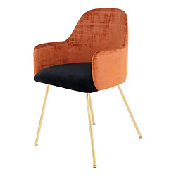 Paris Prix Chaise Déco en Velours Richard 85cm Marron & Noir