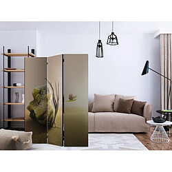 Paris Prix Paravent 3 Volets Abandoned Mask 135x172cm