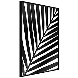 Paris Prix Affiche Murale Encadrée Black Palm 40 x 60 cm Noir