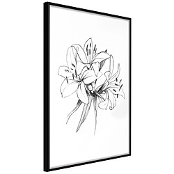 Paris Prix Affiche Murale Encadrée Sketch of Lillies 40 x 60 cm Noir