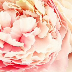 Atmosphera Bouquet de Fleurs Celia 35cm Rose