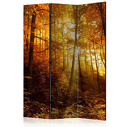 Paris Prix Paravent 3 Volets Autumn Illumination 135x172cm