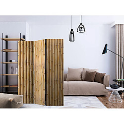 Paris Prix Paravent 3 Volets Amazonian Wall 135x172cm