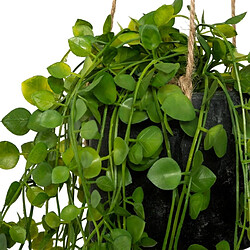 Atmosphera Plante Artificielle à Suspendre Living 62cm Vert