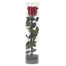 Paris Prix Fleur Artificielle Rose sur Tige 30cm Vert & Rouge