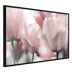 Paris Prix Affiche Murale Encadrée Pastel Tulips II 45 x 30 cm Noir