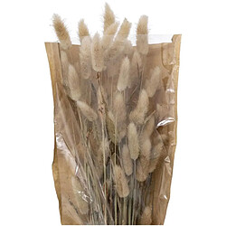 Atmosphera Bouquet de Fleurs Queue de Lapin 58cm Ivoire