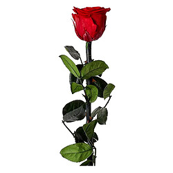 Paris Prix Fleur Artificielle Rose sur Tige 30cm Vert & Rouge