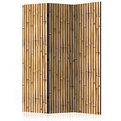 Paris Prix Paravent 3 Volets Amazonian Wall 135x172cm