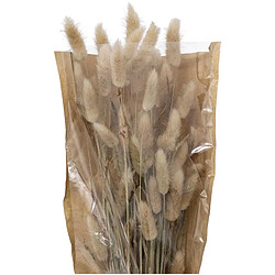 Atmosphera Bouquet de Fleurs Queue de Lapin 58cm Ivoire