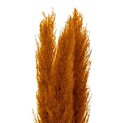 Atmosphera Lot de 3 Fleurs Artificielles Pampa 109cm Orange
