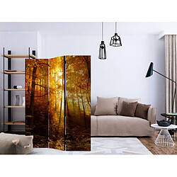 Paris Prix Paravent 3 Volets Autumn Illumination 135x172cm