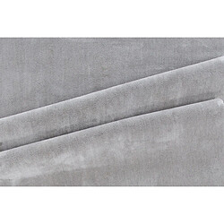 Avis Paris prix Undra - 250 x 350 cm - Argent