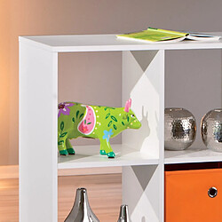 Bibliothèque & vitrine