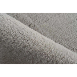 Avis Paris Prix Tapis de Bain Doux Antidérapant Rabbit Gris Clair 40 x 60 cm