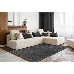 Acheter Paris prix Nila - Tapis rectangulaire - Gris