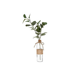 Atmosphera Vase & Eucalyptus Corde 45cm Vert