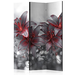 Paris Prix Paravent 3 Volets Shadow of Passion 135x172cm