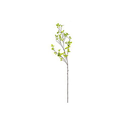 Atmosphera Fleur Artificielle Tige Mini Feuille 104cm Vert
