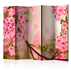 Paris Prix Paravent 5 Volets Pink Azalea 172x225cm
