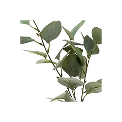 Atmosphera Vase & Eucalyptus Corde 45cm Vert