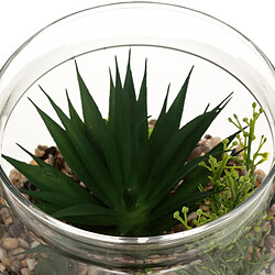 Atmosphera Terrarium en Verre & Bois Brito 17cm Transparent
