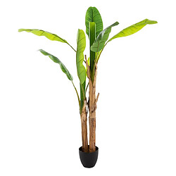 Atmosphera Plante Artificielle Bananier Double 160cm Vert 
