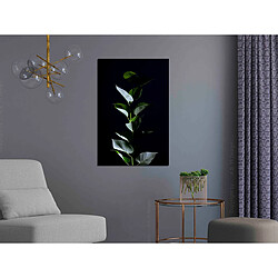 Tableau & peinture