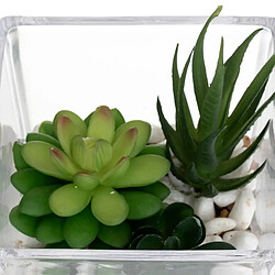 Atmosphera Composition Plante Artificielle 15cm Transparent