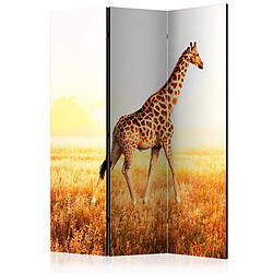 Paris Prix Paravent 3 Volets Giraffe Walk 135x172cm