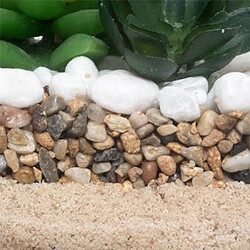 Avis Atmosphera Composition Plante Artificielle 15cm Transparent