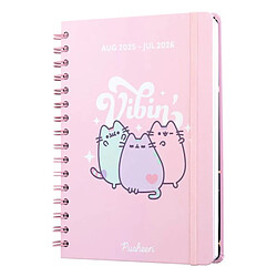 Attache & fixation Pusheen