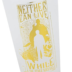 Avis Harry Potter Set de 2 Verres 490ml Collection Golden Magic Design Givré Élégant Transparent